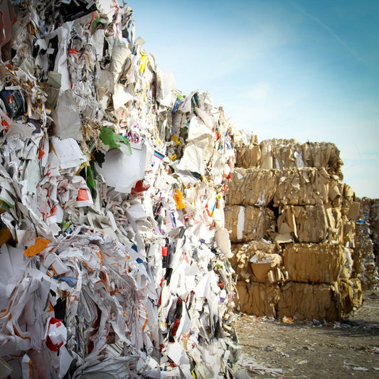 Why Textile Recycling Matters More Than Ever